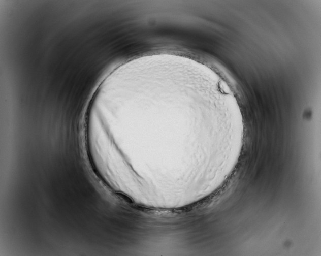 X0000103440907200810241118