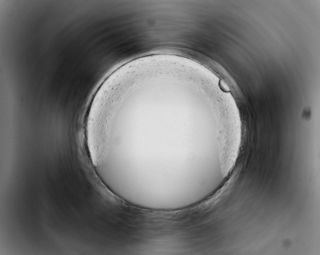 X0000103440908200810241118