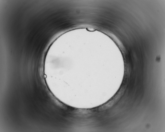 X0000103440910200810241118