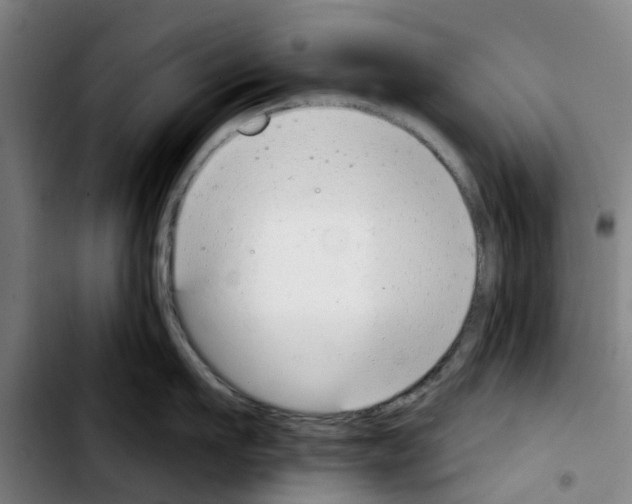 X0000103440911200810241118