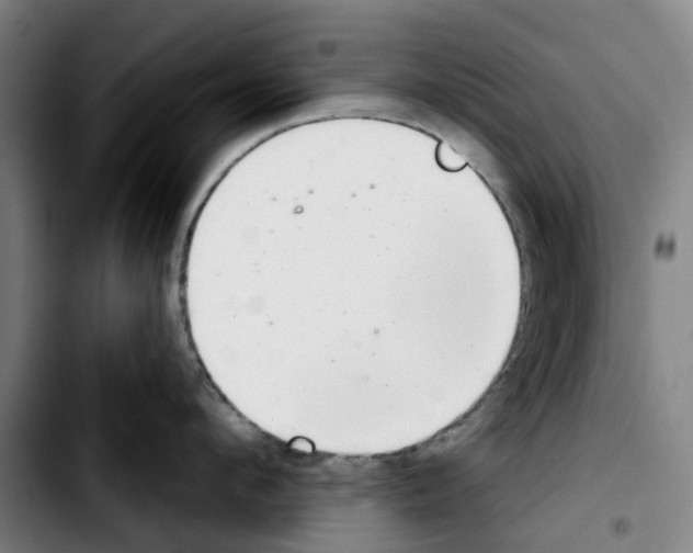 X0000103440912200810241118