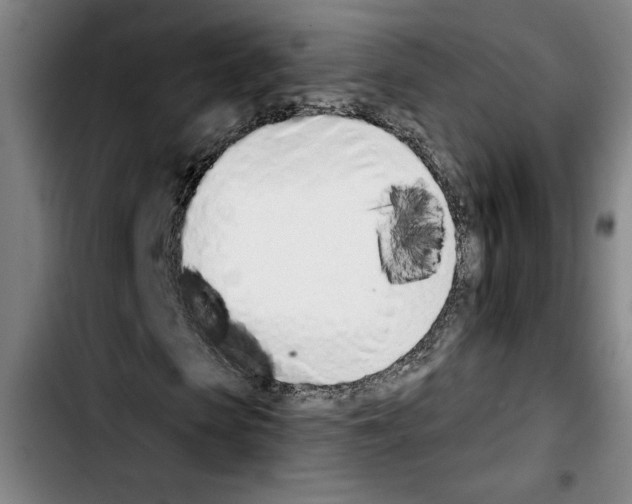 X0000103440913200810241118