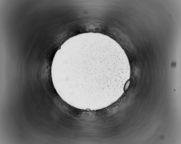X0000103440914200810241118