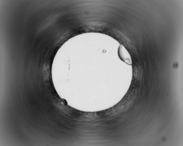 X0000103440915200810241118