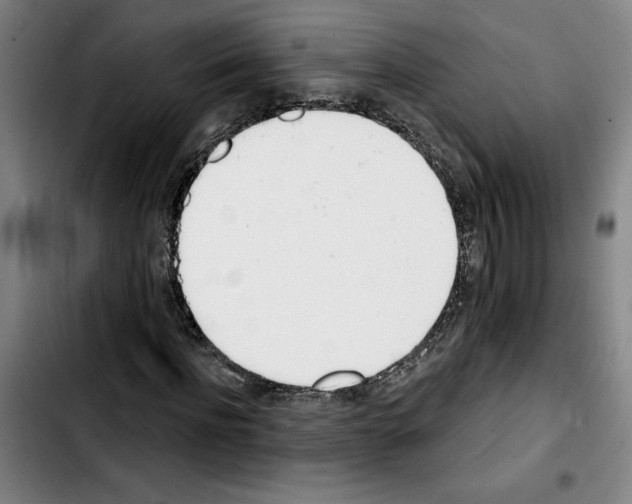 X0000103440916200810241118