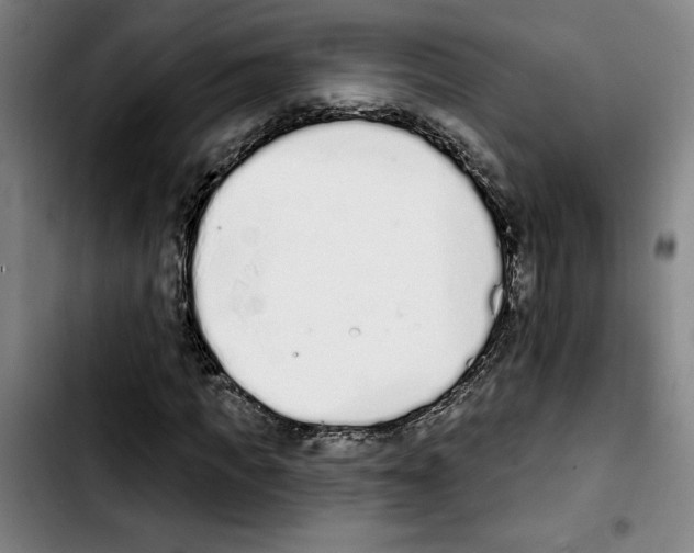 X0000103440917200810241118