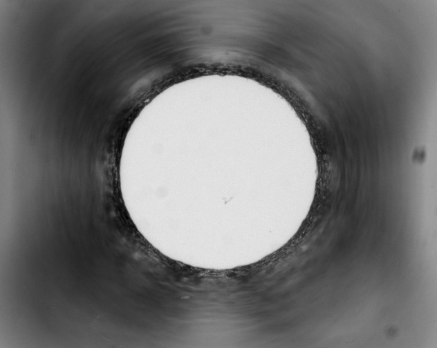 X0000103440918200810241118