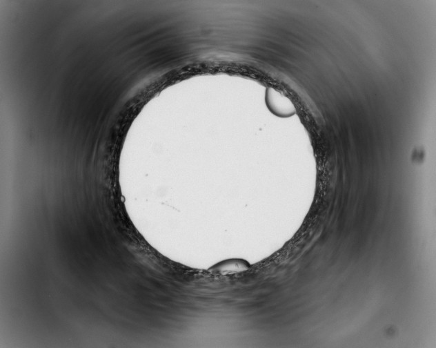 X0000103440919200810241118