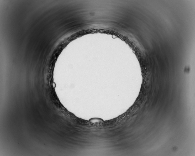 X0000103440920200810241118