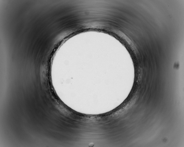 X0000103440922200810241118