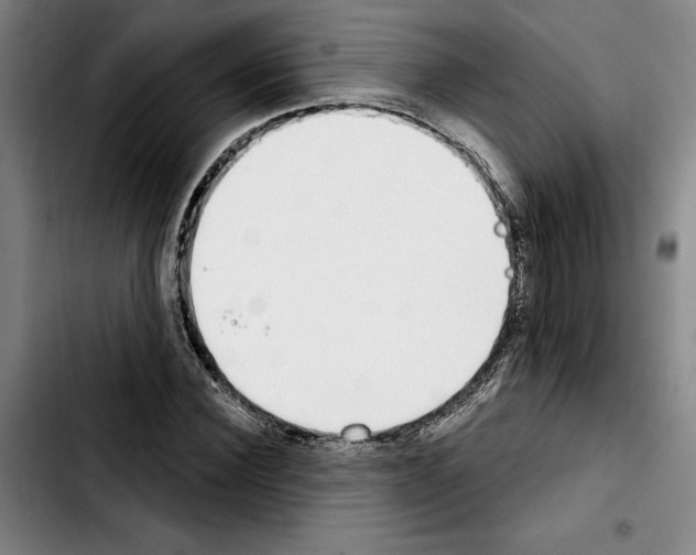 X0000103440924200810241118