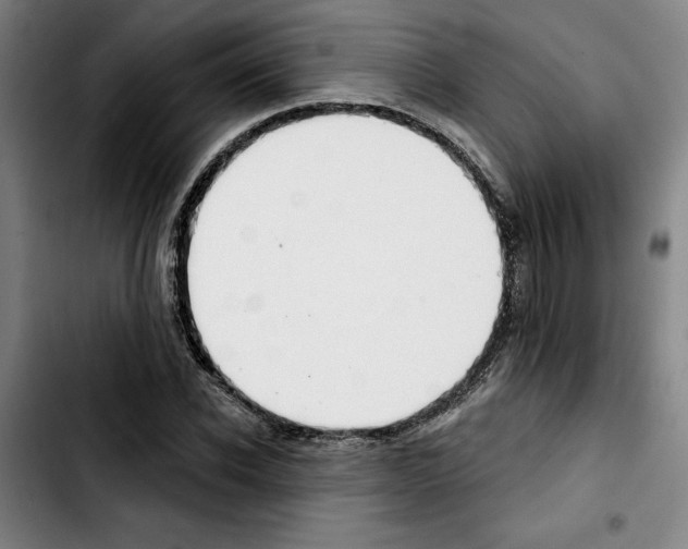 X0000103440926200810241118