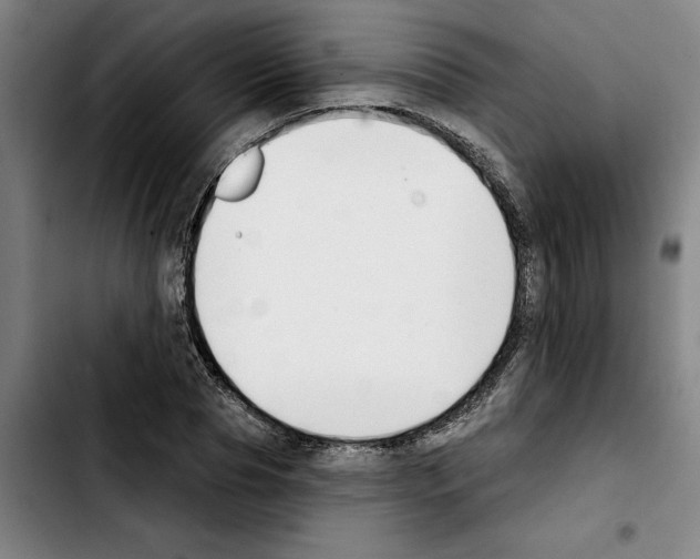 X0000103440929200810241118