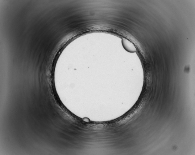 X0000103440930200810241118