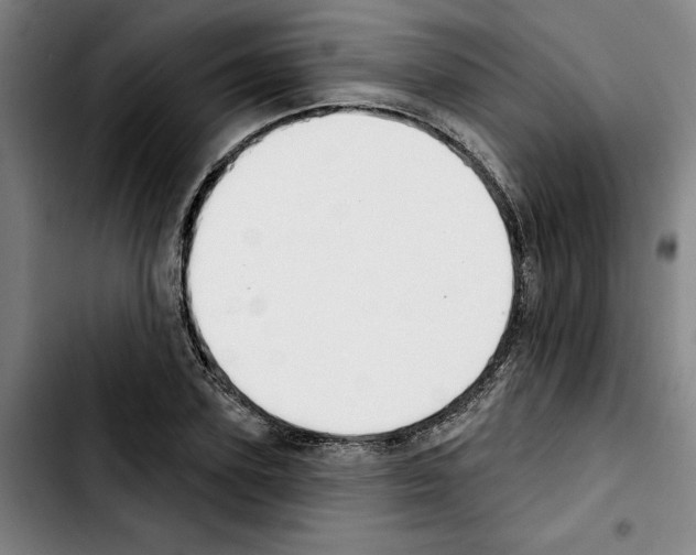 X0000103440931200810241118