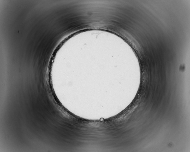 X0000103440932200810241118