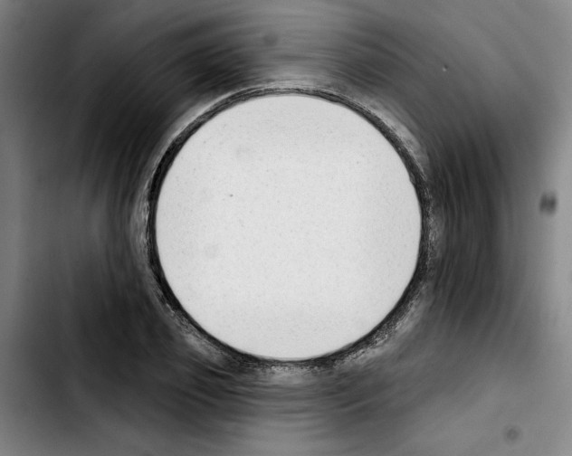 X0000103440933200810241118