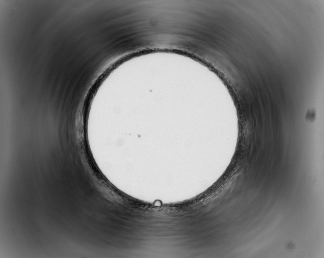 X0000103440934200810241118