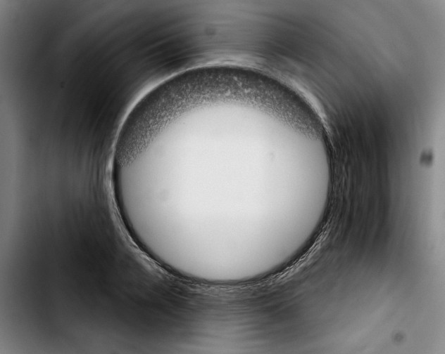 X0000103440936200810241118
