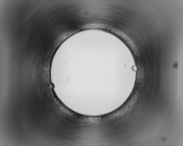 X0000103440937200810241118