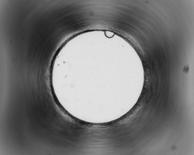 X0000103440942200810241118