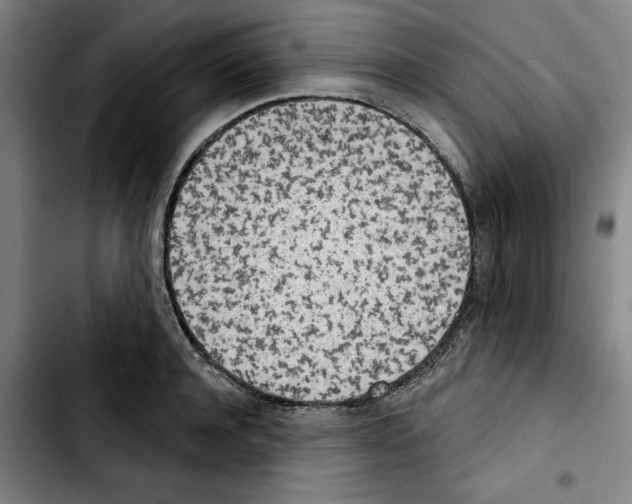 X0000103440944200810241118