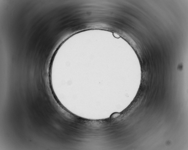 X0000103440947200810241118