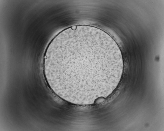 X0000103440948200810241118