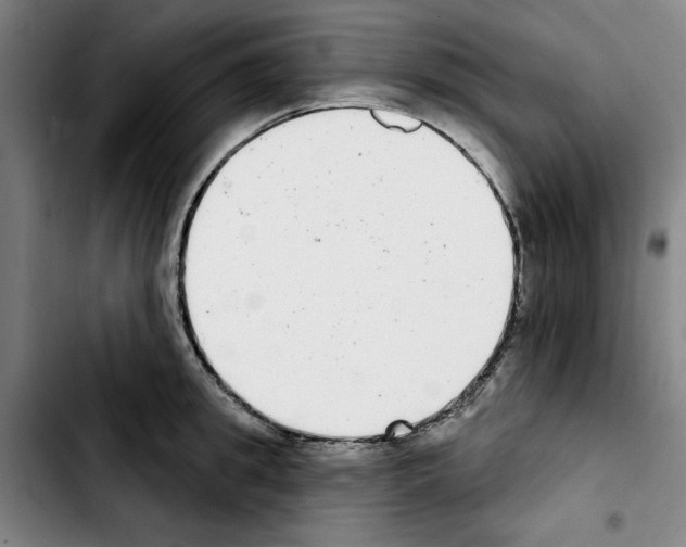 X0000103440949200810241118