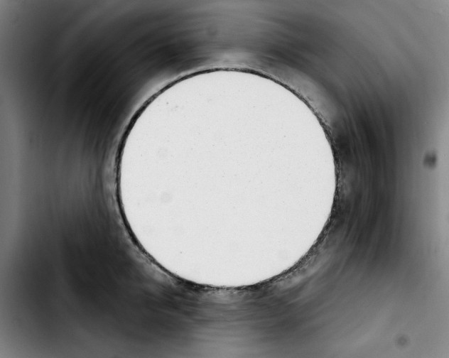 X0000103440950200810241118
