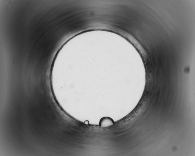 X0000103440951200810241118