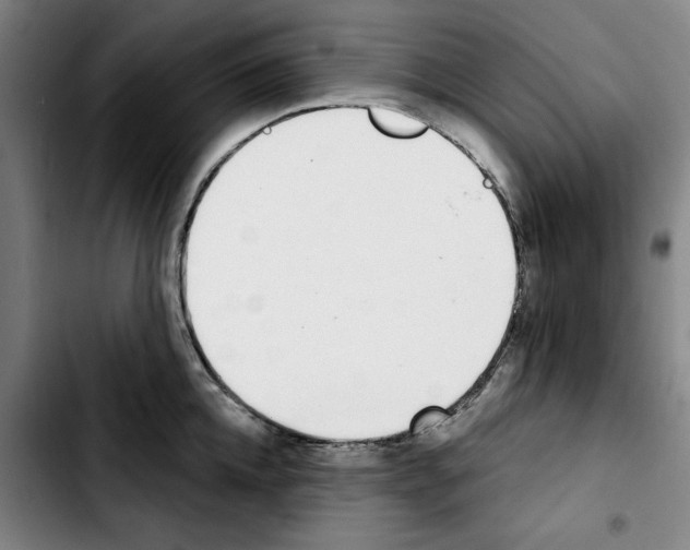 X0000103440952200810241118