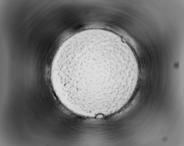 X0000103440953200810241118