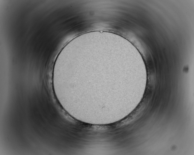 X0000103440954200810241118