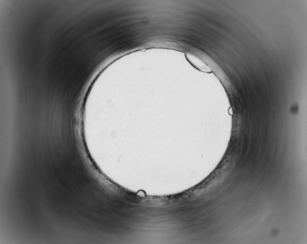 X0000103440955200810241118