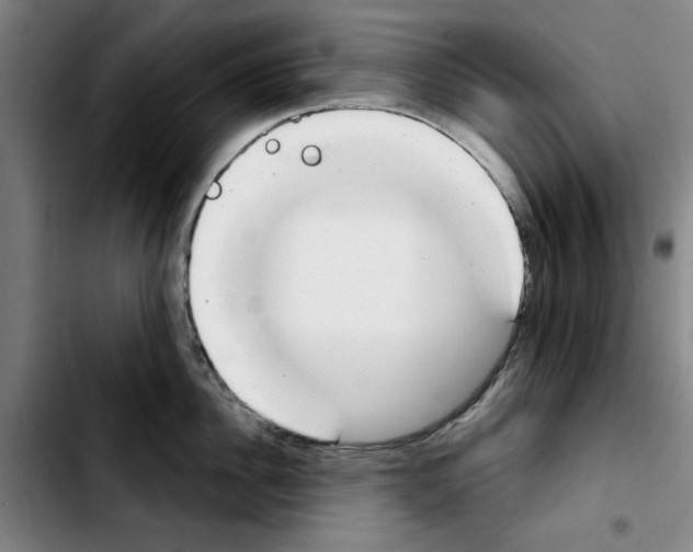 X0000103440956200810241118