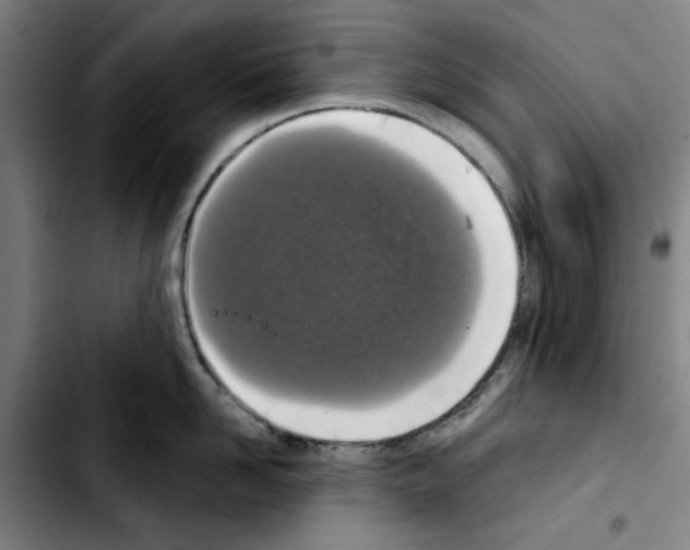 X0000103440958200810241118