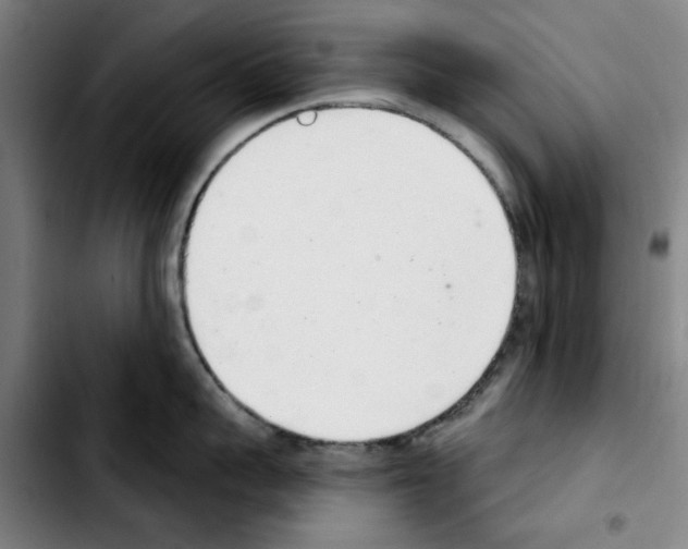 X0000103440959200810241118