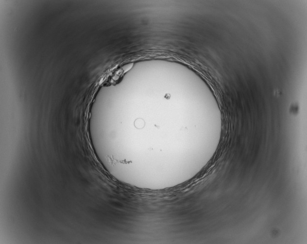 X0000103440961200810241118