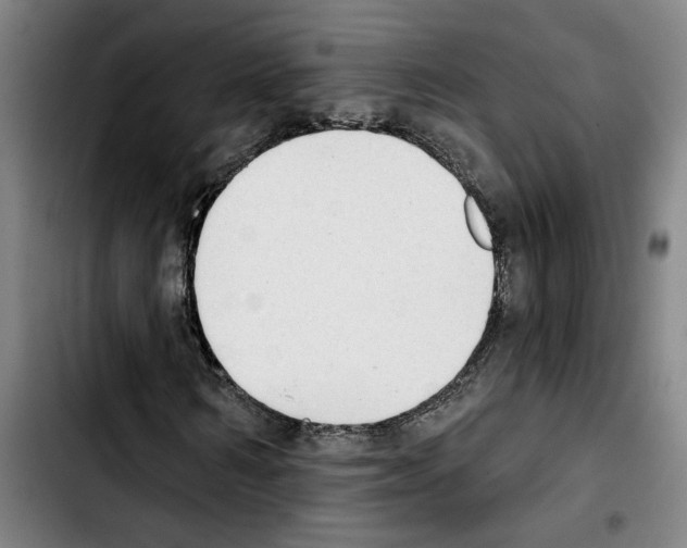 X0000103440962200810241118