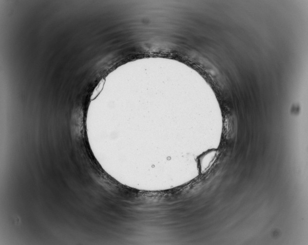 X0000103440963200810241118