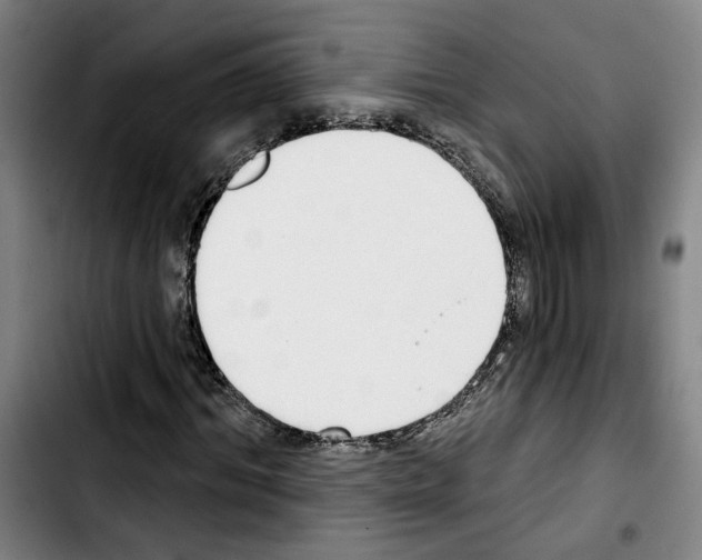 X0000103440964200810241118