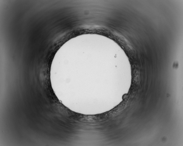 X0000103440966200810241118