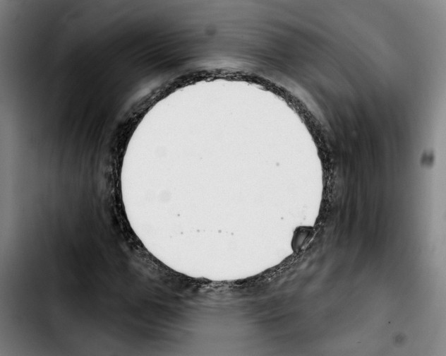 X0000103440967200810241118