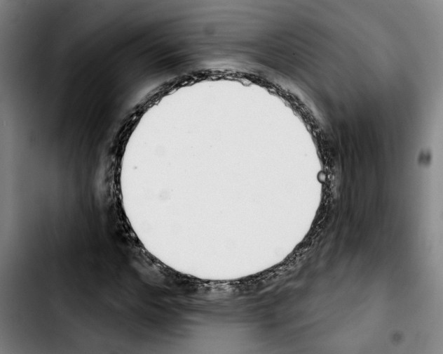 X0000103440968200810241118