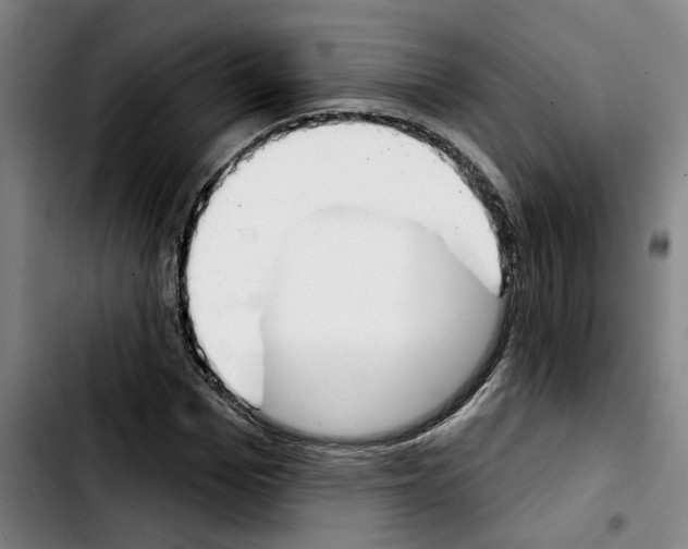 X0000103440969200810241118
