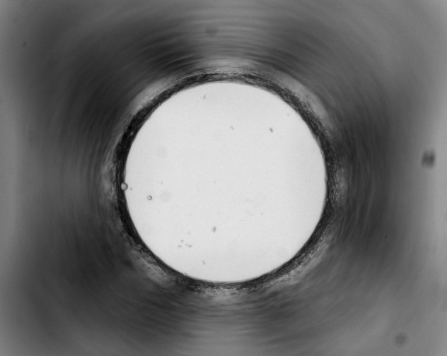 X0000103440970200810241118