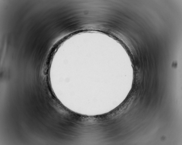 X0000103440971200810241118