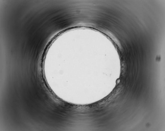 X0000103440972200810241117
