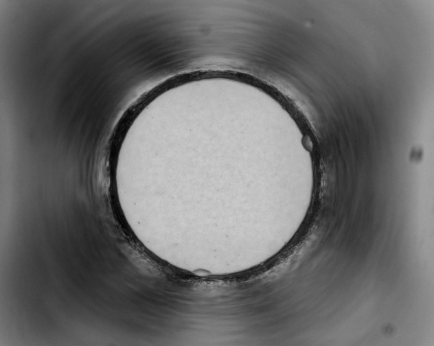 X0000103440973200810241117